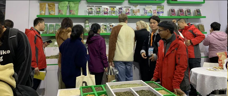 图片.png 图片.png